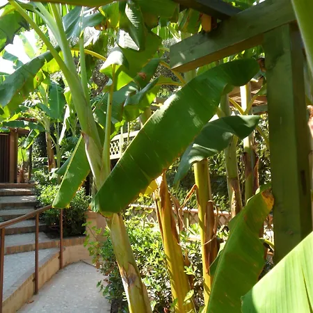 아파트호텔 L' Arcobaleno 3*